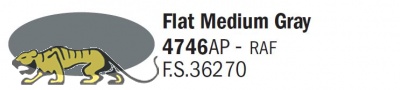 Italeri Acrylic 4746AP - Mittelgrau matt / Flat Medium Gray - FS34270 - 20ml