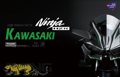 Kawasaki Ninja H2R - Pre colored Edition - 1/9