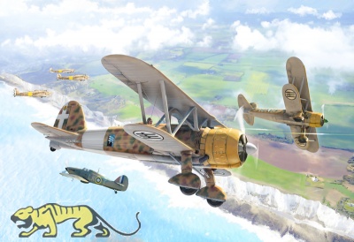 Fiat CR.42 Falco - Battle of Britain - 1/72