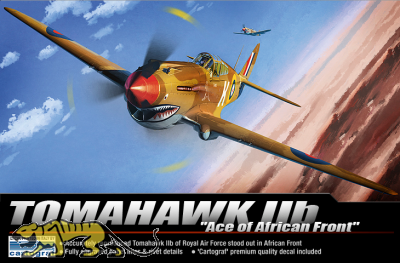 P-40C Tomahawk IIB - RAF - Ace of the African Front - 1:48