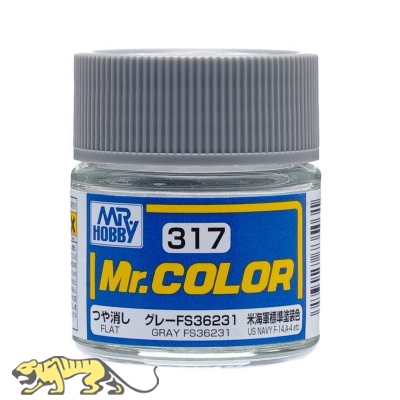 Mr. Color C317  Gray / Grau FS36231 - Matt - 10ml