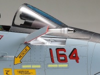 Grumman F-14D Tomcat - 1:48