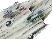 Grumman F-14D Tomcat - 1:48