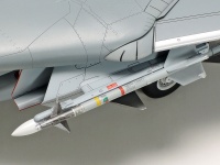 Grumman F-14D Tomcat - 1:48