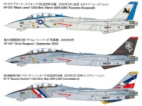 Grumman F-14D Tomcat - 1:48