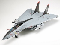 Grumman F-14D Tomcat - 1:48