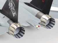 Grumman F-14D Tomcat - 1:48