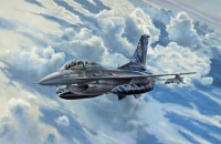 Lockheed Martin F-16D - Tigermeet 2014 - 1/72