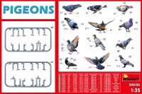 Pigeons - 1/35