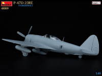 P-47D 25RE - Thunderbolt - Basic Kit - 1:48