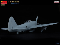 P-47D 25RE - Thunderbolt - Basic Kit - 1:48