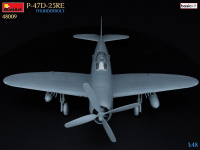 P-47D 25RE - Thunderbolt - Basic Kit - 1:48