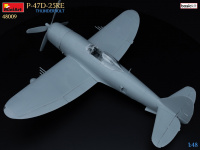 P-47D 25RE - Thunderbolt - Basic Kit - 1:48