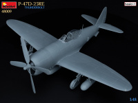 P-47D 25RE - Thunderbolt - Basic Kit - 1:48