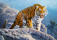 Tiger on the Rocks - Puzzle 500 Teile