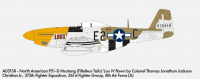 North American P-51D Mustang - Filletless Tails - 1:48