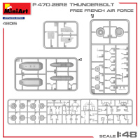 P-47D 28RE - Thunderbolt - Free French Air Force - Basic Kit - 1:48