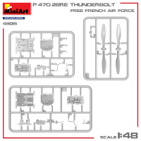 P-47D 28RE - Thunderbolt - Free French Air Force - Basic Kit - 1:48