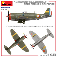 P-47D 28RE - Thunderbolt - Free French Air Force - Basic Kit - 1:48