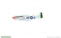 Aces of the Eighth - P-51D Mustang - Dual Combo - 1/72