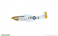 Aces of the Eighth - P-51D Mustang - Dual Combo - 1/72