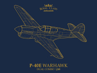 P-40E Warhawk - Dual Combo - Royal Class - 1:48