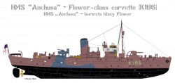 Flower Class Corvette K186 - HMS Anchusa - 1/350