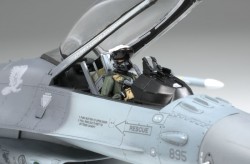 Lockheed Martin F-16CJ (Block 50) Fighting Falcon - 1:48